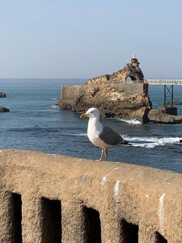 Waikiki Apartman Biarritz Kültér fotó