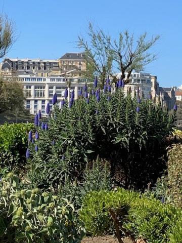 Waikiki Apartman Biarritz Kültér fotó