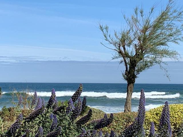 Waikiki Apartman Biarritz Kültér fotó